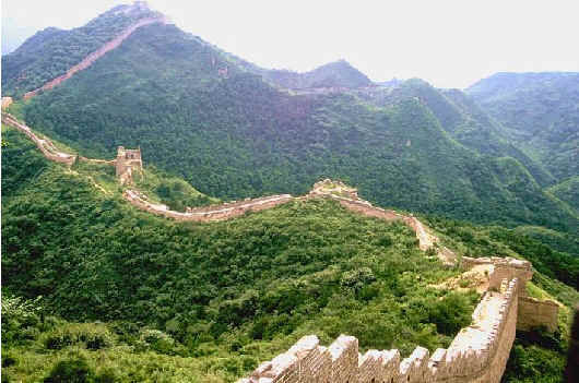 cina