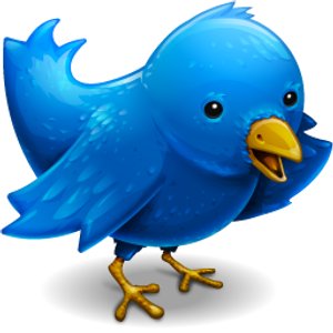 romanzo-twitter
