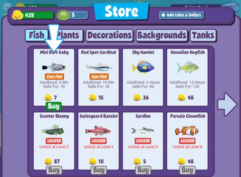 Zynga lancia FishVille, il nuovo acquario virtuale