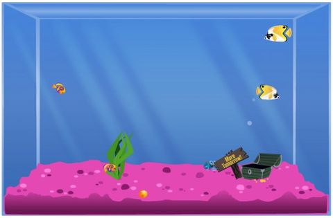 Happy Aquarium: come insegnare nuovi trucchi al vostro pesciolino