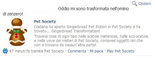 Pet Society, facciamo chiarezza sui Gingerbread Items