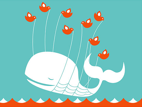 Balena bianca su Twitter, ieri un nuovo crash