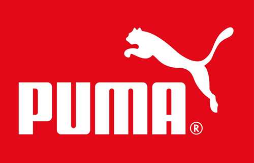 Il "Puma" inseguito nel lancio del social network