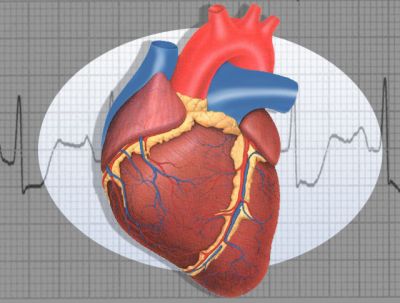 Imparare a monitorare i battiti del cuore con YouTube