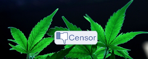 Marjuana Facebook