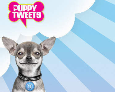 Puppy Tweets