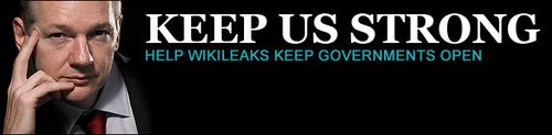 WikiLeaks oscurato torna online con un nuovo url