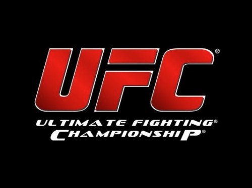 UFC Undisputed Fight Night