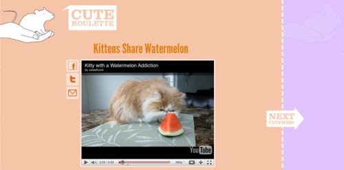 Cute Roulette, Chatroulette con gli animali