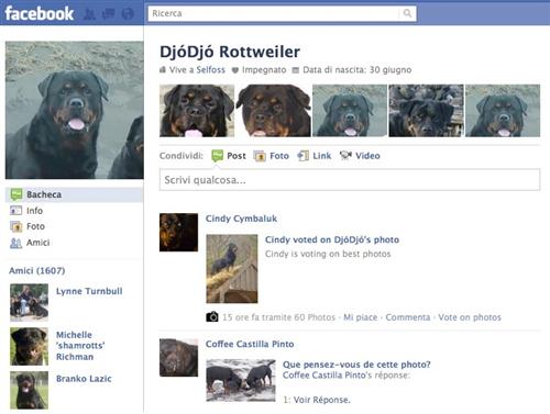 Cane su Facebook