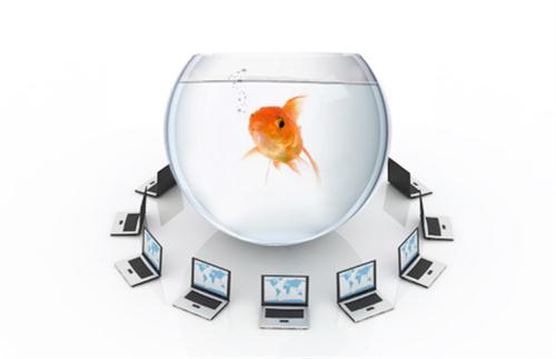 Web Communications
