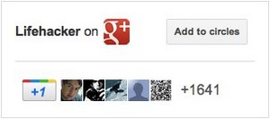 Google+ Badges