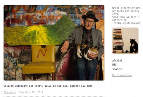 Screenshot-Writers and Kitties