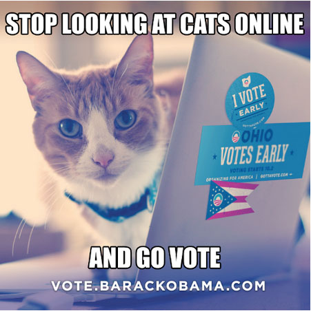 Gatti su Facebook per sostenere Obama
