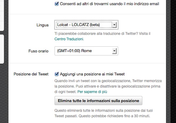 Twitter ora è utilizzabile anche in LOLcat