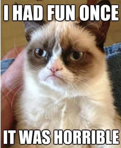 Grumpy Cat Meme, un gatto scontroso nuova star di internet