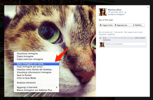 Come scaricare le foto da Facebook