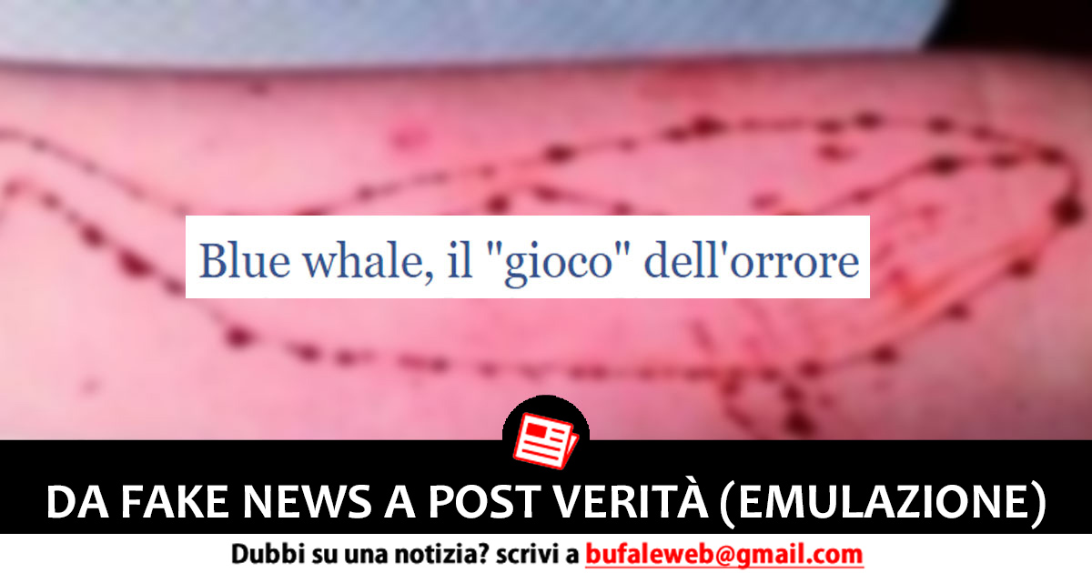 Pericolo Blue Whale nel messaggio Whatsapp: stavolta è tutto vero