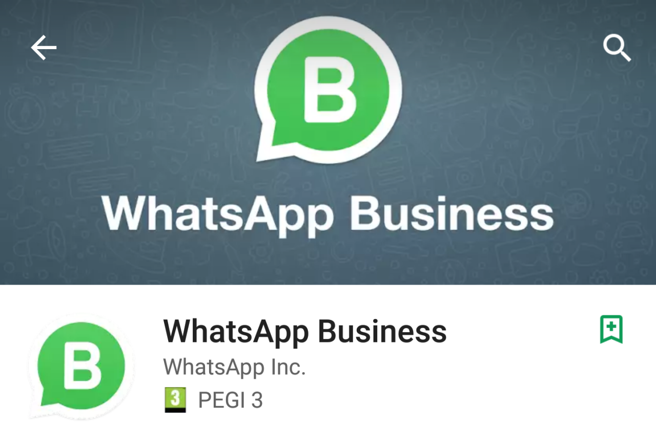 Ufficiale Whatsapp Business, ecco i suoi punti di forza