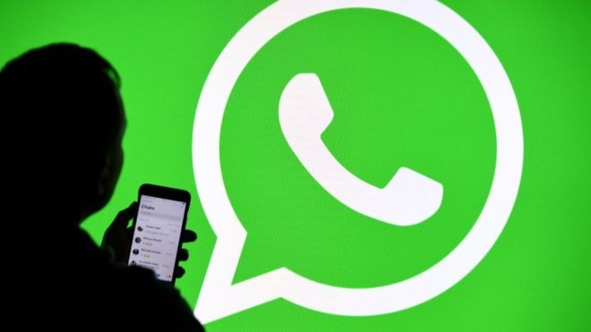 Brusco calo di condivisioni di messaggi WhatsApp con informazioni non veritiere