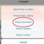 Conferme aggiornamento WhatsApp per introdurre il proprio sistema di condivisione file